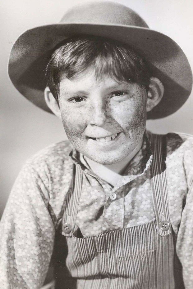 Stephen Wootton