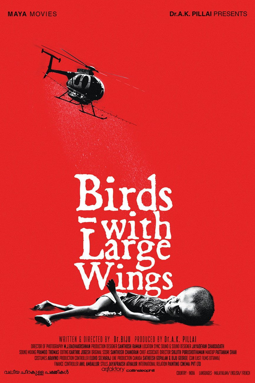 Birds with Large Wings