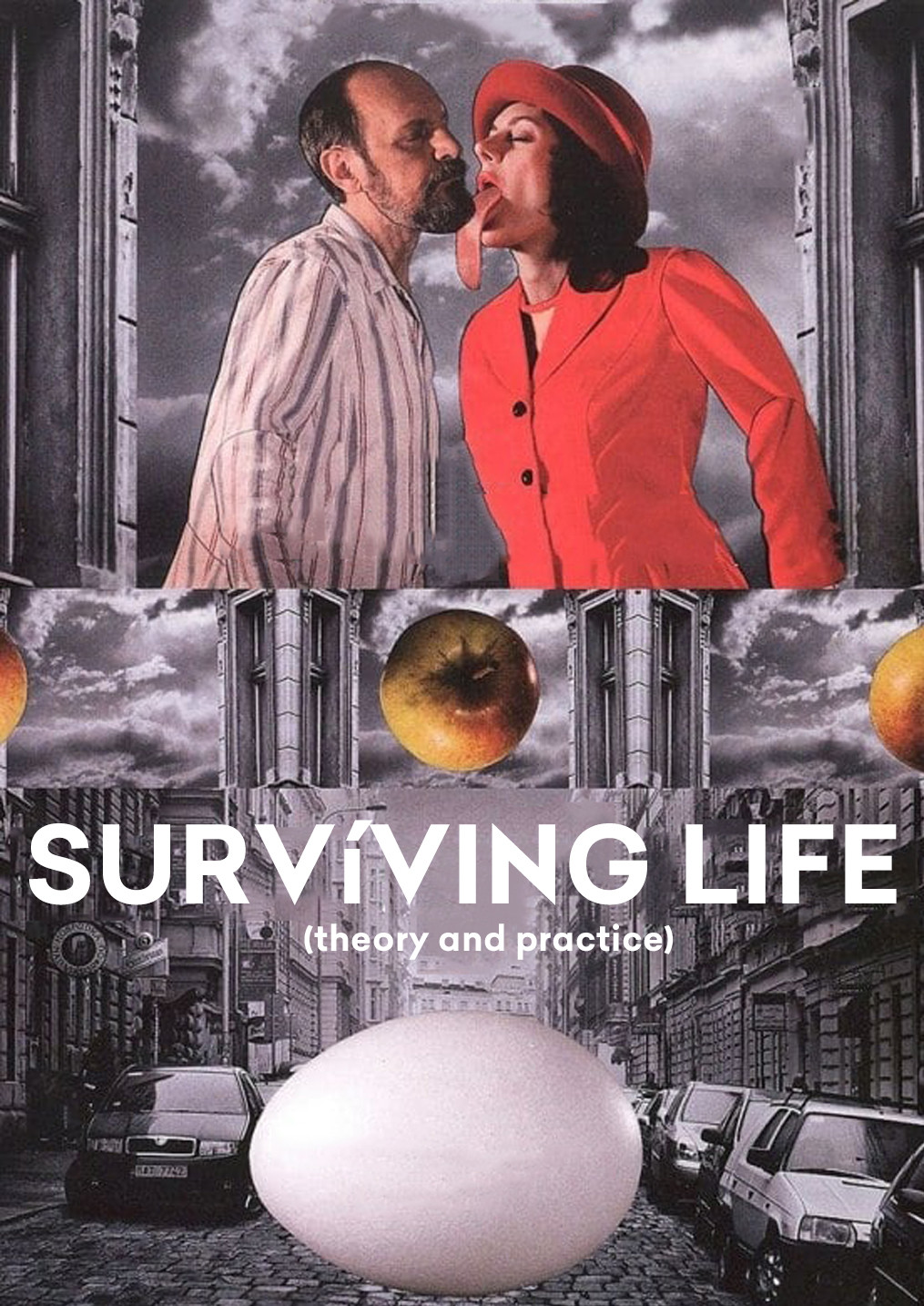 Surviving Life